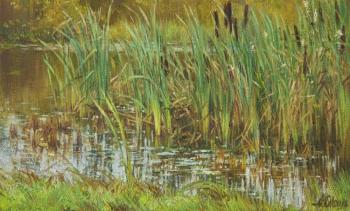The Reeds. Ovsianikov Anton
