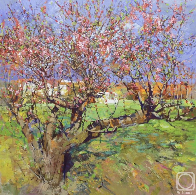 Chirun Ilya. Peach garden. Bakhchisaray