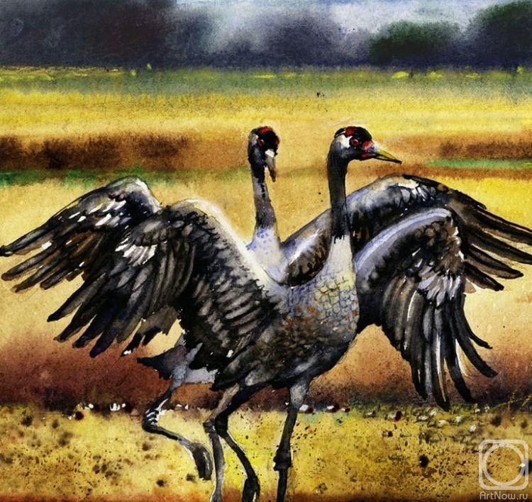 Ivanova Olga. The cranes