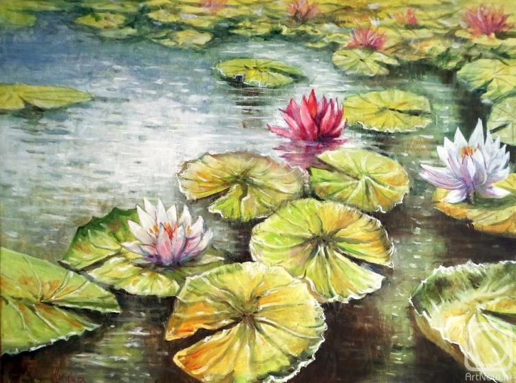 kulikov dmitrii. Pond with water lilies