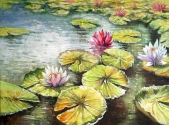Pond with water lilies. kulikov dmitrii
