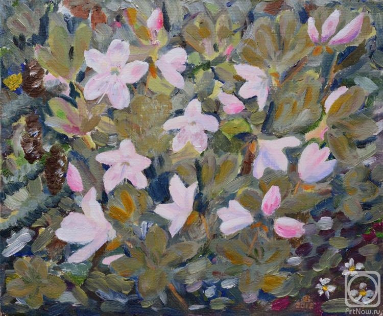 Yaskin Vladimir. Rhododendron