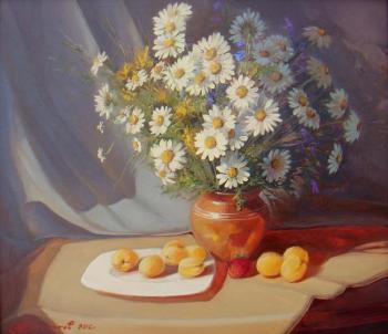 Daisies with apricots. Plotnikov Alexander