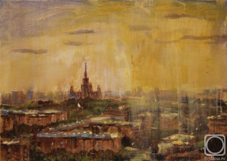 Rakhmatulin Roman. Roofs, Moscow State University