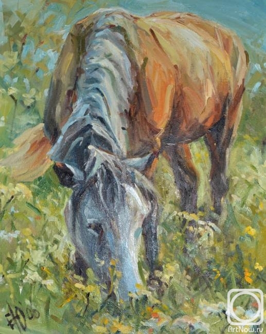 ������� ������ �� ������. ������� ����. ��������� �������