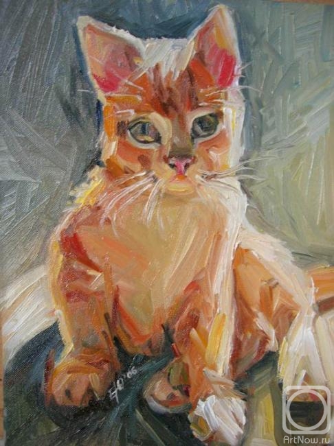 ������� ������ �� ������. ������� ����. �������