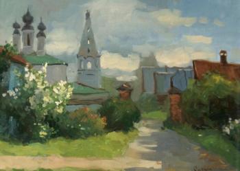 Ratchin Sergey Nikolaevich. Suzdal. Monastery