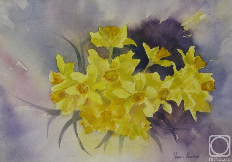 Pohomov Vasilii. Daffodils 2016