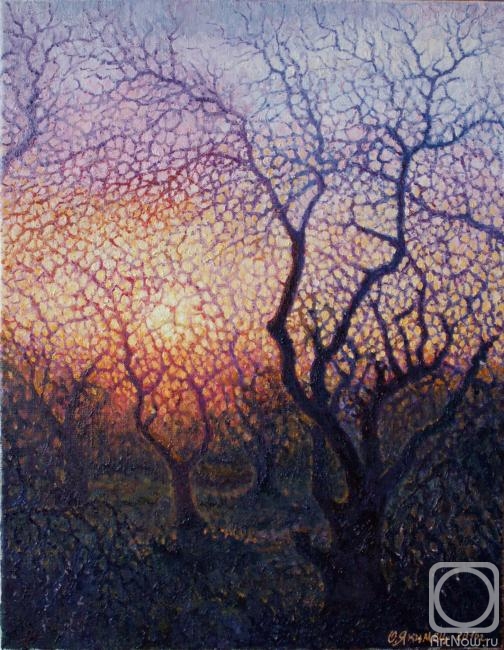 ������� ������ �� ������. ������ �����. �����. ������ ������� � ������ ����