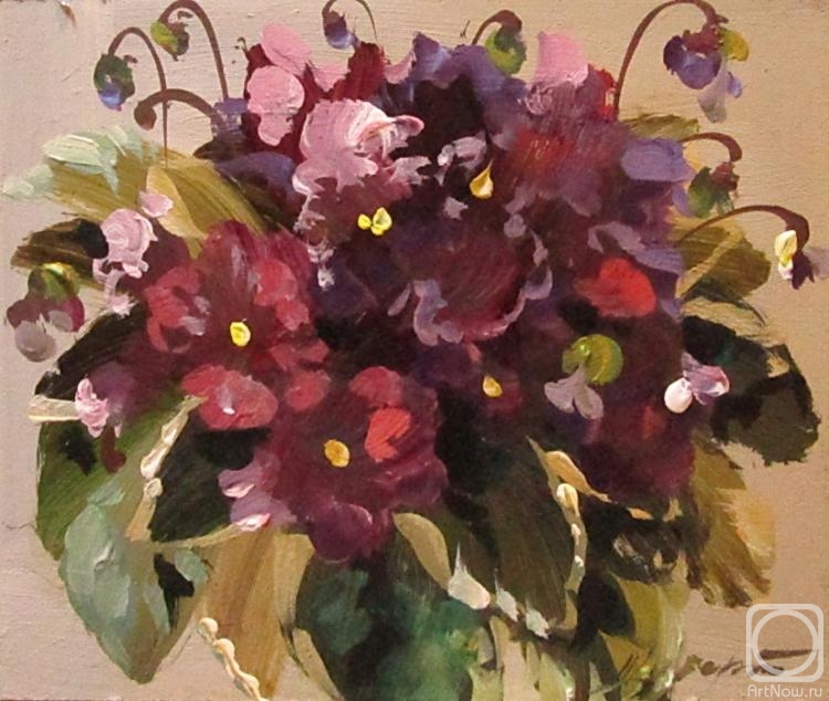 Schubert Albina. Untitled