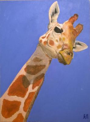 Giraffe)). Metchenko Elena