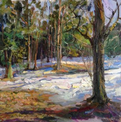 ������� ��������� �����