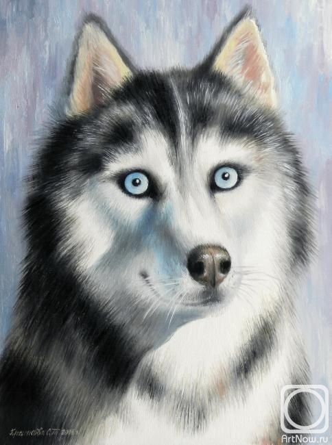 ������� ������ �� ������. �������� ��������. �����