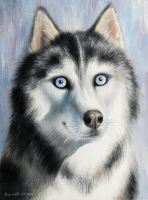 ����� (�������). �������� ��������