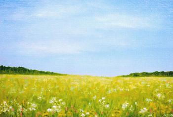 Summer day. Meadow.