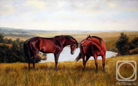 ������� ������ �� ������. ��������� �������. ����