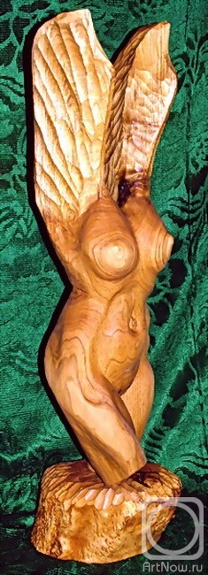 �������� ������. ����