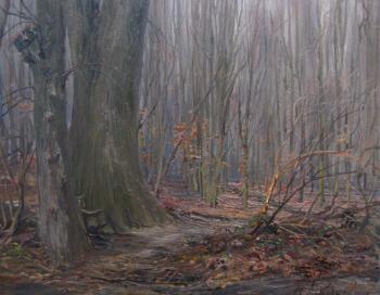 Autumn Forest. Loukianov Victor