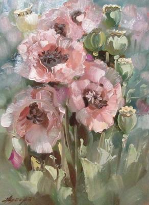 ������� ��������� ���