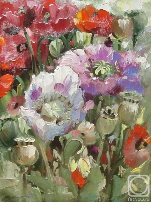 ������� ������ �� ������. ������ �������. �������� ���