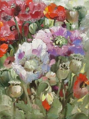 ������� ��������� ���