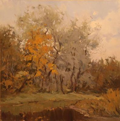 ������� �������� �������