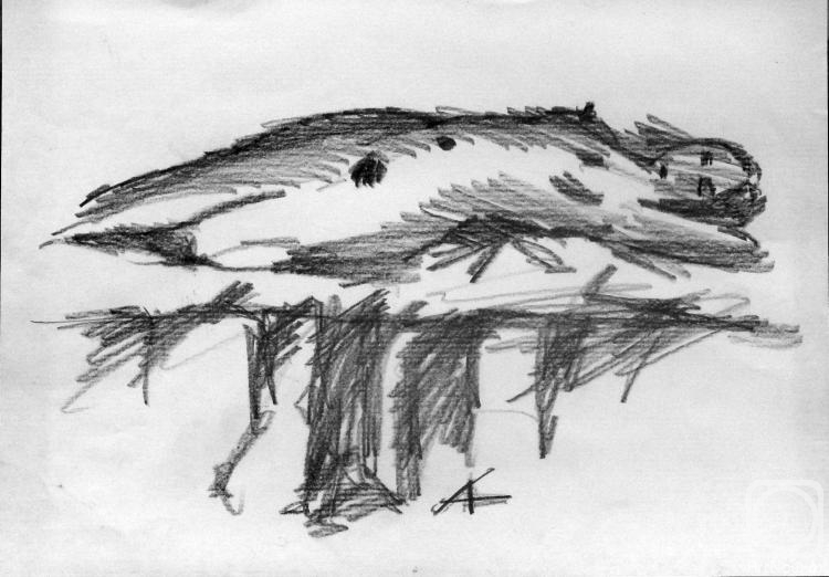 �������. ������� ���������. �������