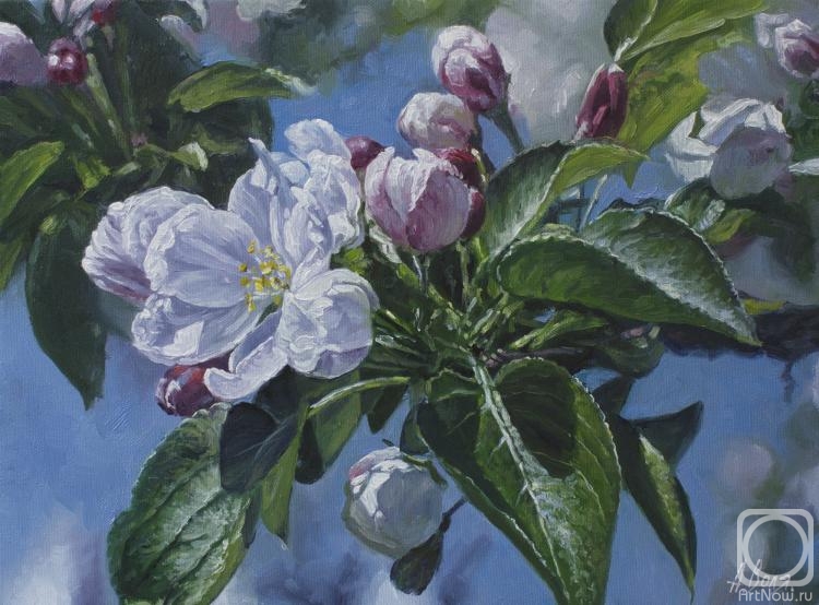 Volya Alexander. Flowering branch