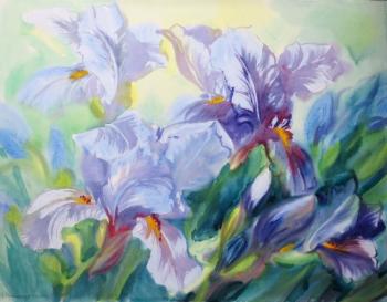 ������� ������� ������