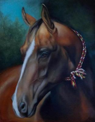 Horse portrait. Lygina Lyudmila