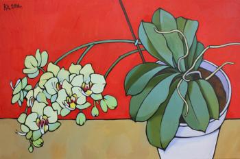 ������� �������� �� �������