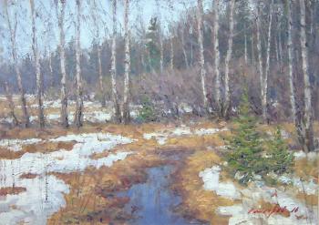 In the spring forest