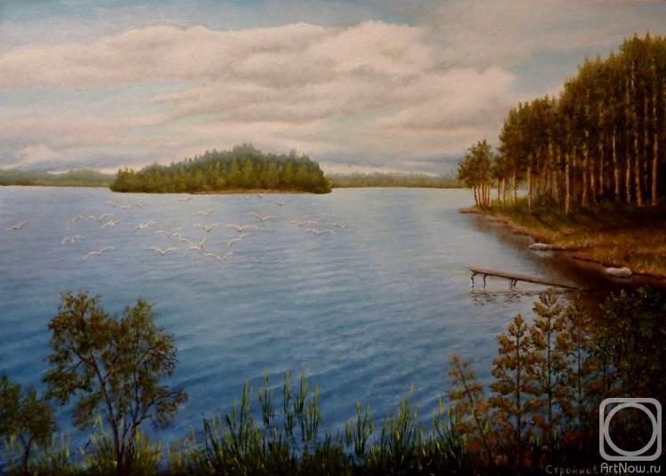 Stroynov Vitaly. Gulls over the lake