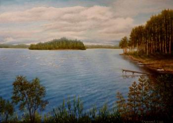 Gulls over the lake. Stroynov Vitaly