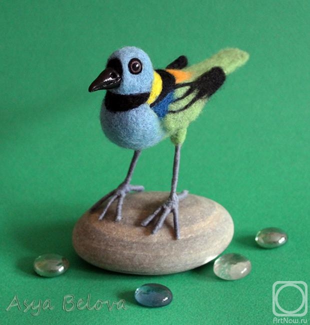 Belova Asya. Tanager