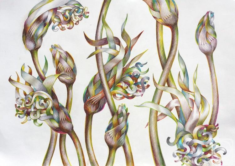 Kalinina Nadezhda. Untitled