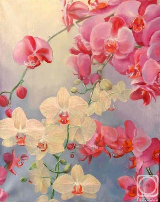 Razumova Svetlana. orchids