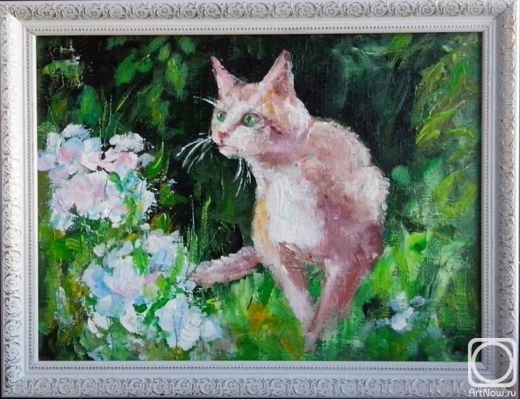 �������. �������� ���������. ������ ��������