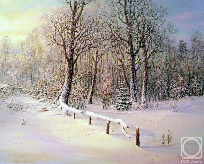 Panin Sergey. Winter morning. On surburb of a forest