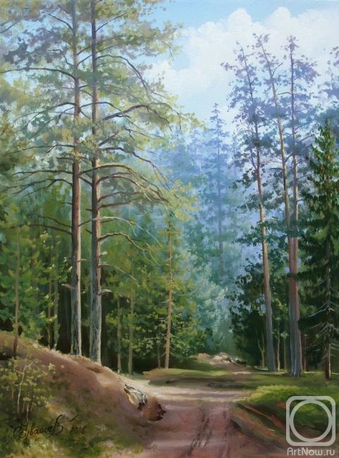 Chuvashev Oleg. Forest path