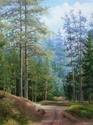 Forest path. Chuvashev Oleg