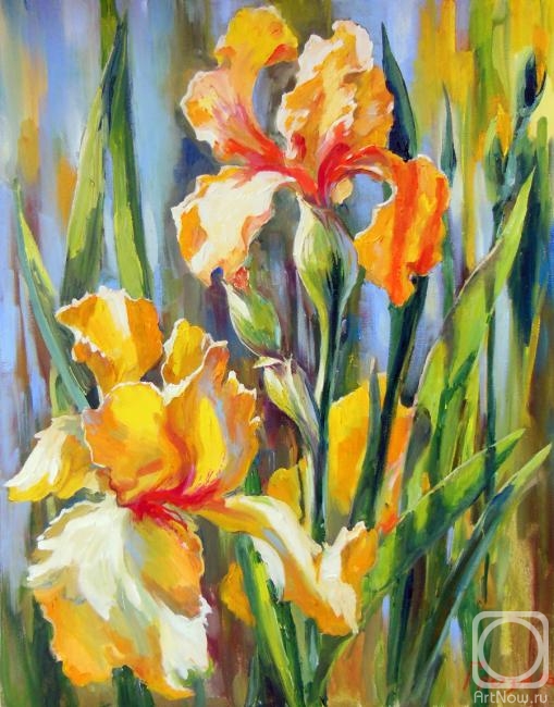 Grosa Ludmila. Solar irises