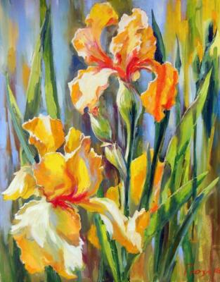Solar irises. Grosa Ludmila