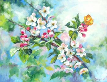 Blossoming of apple trees. Grosa Ludmila
