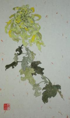 Lemon chrysanthemum. Engardo Anna