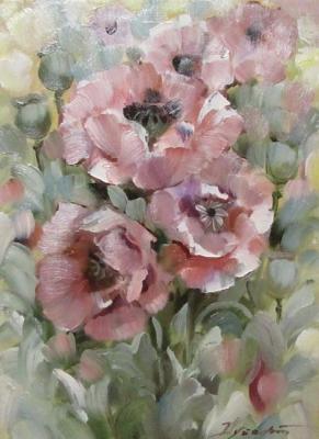 ������� ���� �������� �������