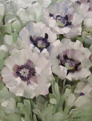 ������� ���� �������� �����