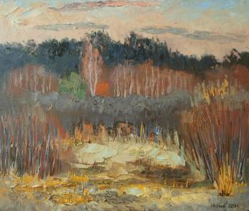 Warm spring.Twilight