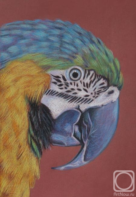 Vitakova Tatiana. Parrot