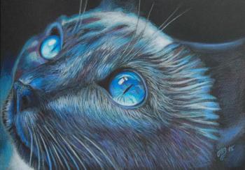 Blue Cat. Vitakova Tatiana